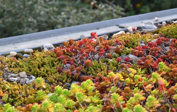 the cost of Barkestone Le Vale green roof installation