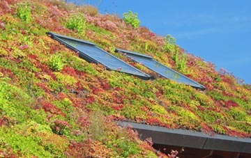 Barkestone Le Vale living roof systems